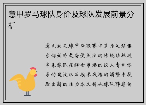 意甲罗马球队身价及球队发展前景分析