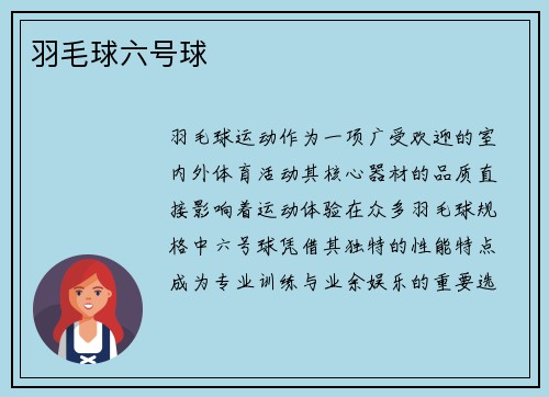 羽毛球六号球